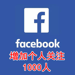 Facebook 增加个人关注1000人（加赠10%）